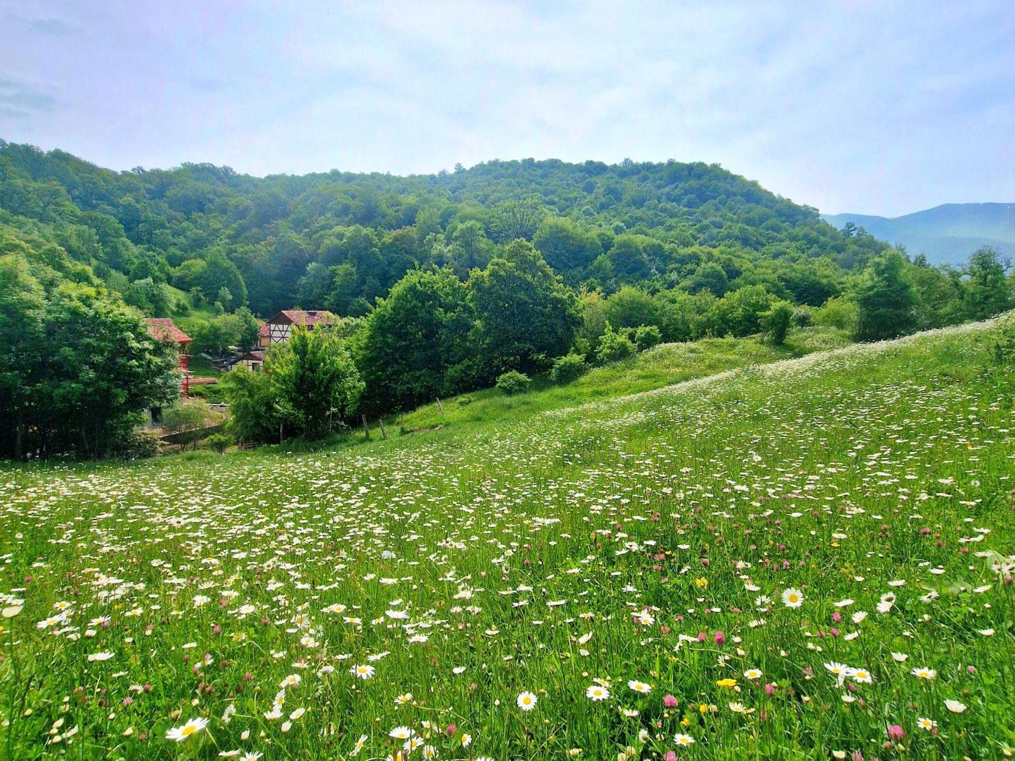 Ecokayan Dilijan Resort Hotel Exterior photo
